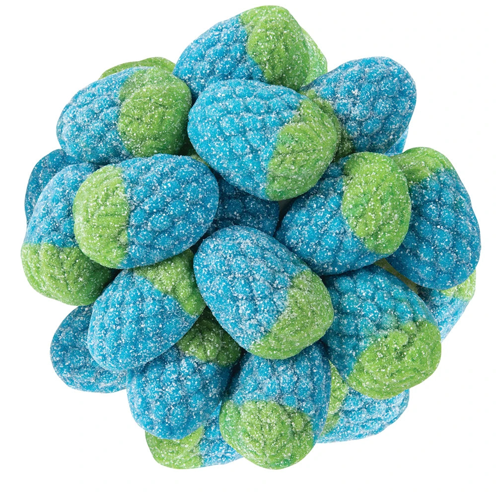 GUMMI SOUR WILD RASPBERRIES – The Penny Candy Store