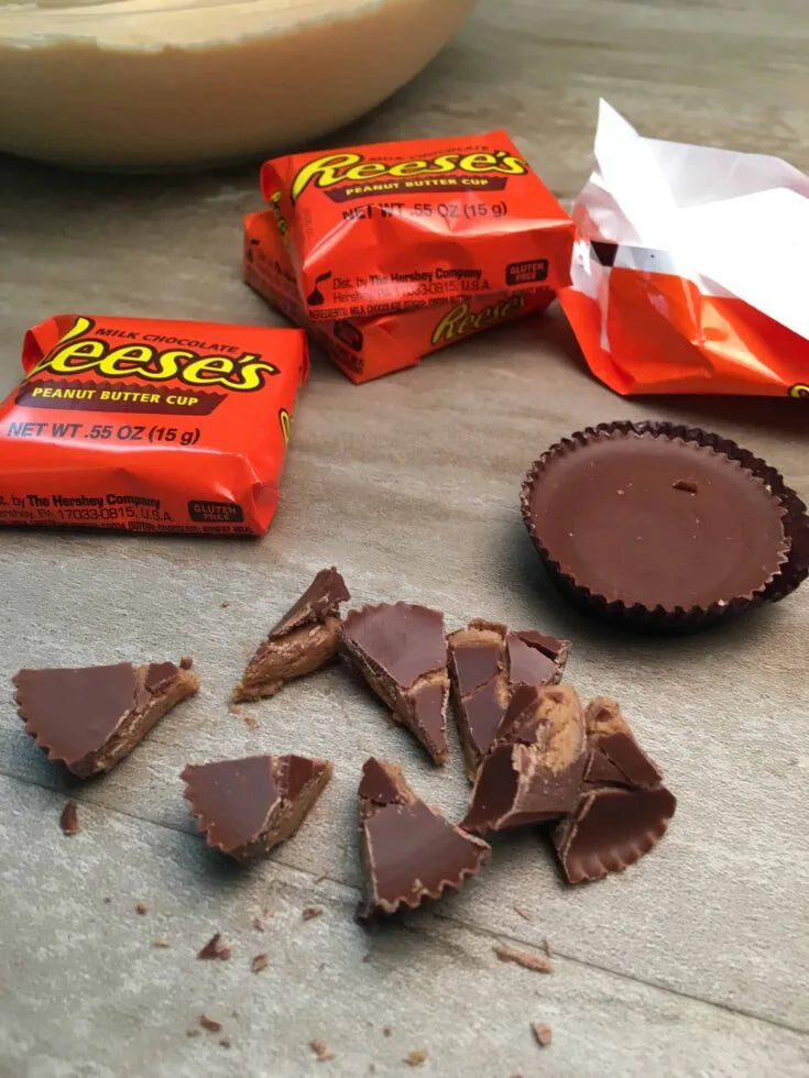 REESE'S FUN SIZE – The Penny Candy Store